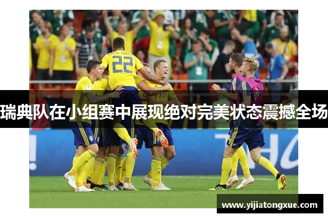 瑞典队在小组赛中展现绝对完美状态震撼全场