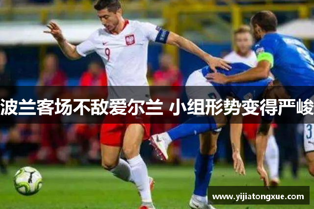 波兰客场不敌爱尔兰 小组形势变得严峻
