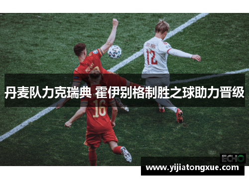 丹麦队力克瑞典 霍伊别格制胜之球助力晋级