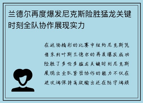 兰德尔再度爆发尼克斯险胜猛龙关键时刻全队协作展现实力