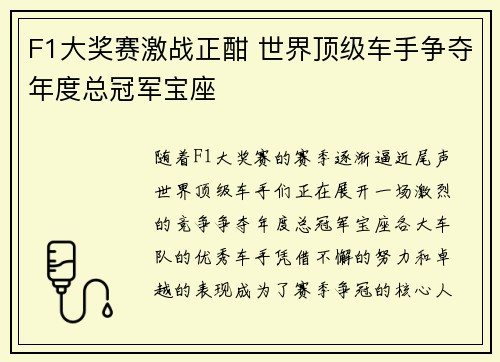 F1大奖赛激战正酣 世界顶级车手争夺年度总冠军宝座